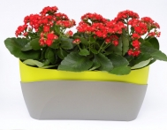 With a patented irrigation system, the Doppio pots & boxes protect your flowers from overflowing or drying With a patented irrigation system, the Doppio pots & boxes protect your flowers from overflowing or drying